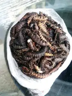 Make Pretzels step 3