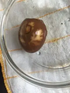 Make Stamped eggs step 4