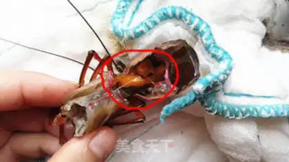 Make Red-cray shrimp ball step 4
