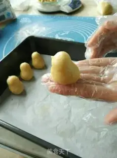 Make Chicken step 9