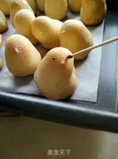 Make Chicken step 10