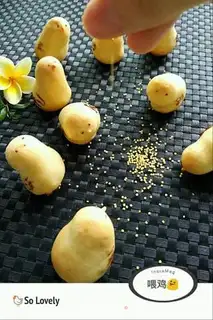 Make Chicken step 13