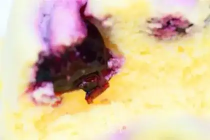 Make Blueberry cheesecake step 24