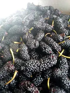 Make Sancho jam step 1