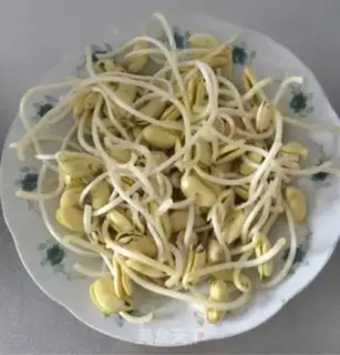 Make Homemade soybean sprouts step 6