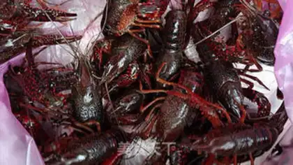 Make Red-cray shrimp ball step 0
