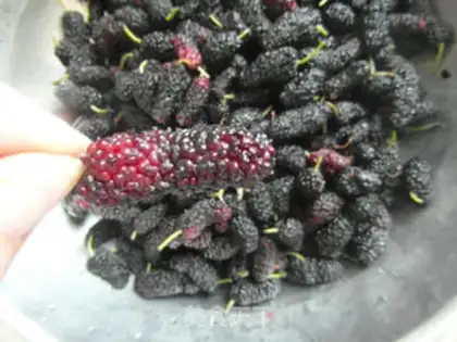 Make Homemade cranberry jam step 0