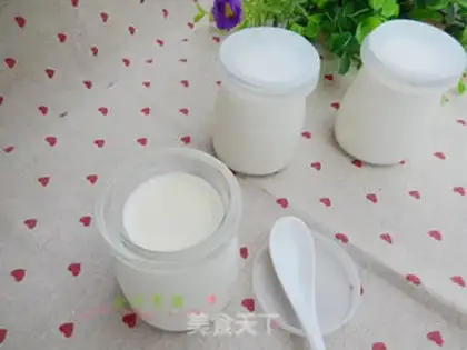 Make Homemade yogurt step 7