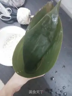 Make Honeytree step 1