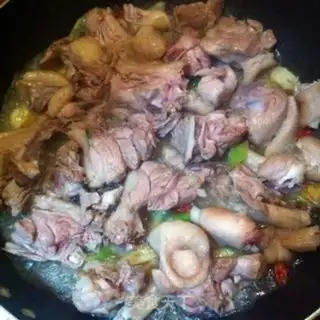 Make Red duck step 3