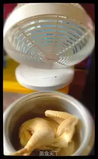 Make A simple white pheasant step 2