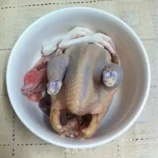 Make White pheasant step 1