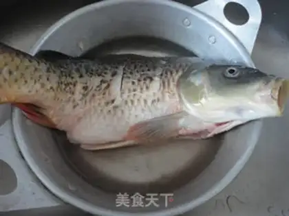 Make Carp step 1