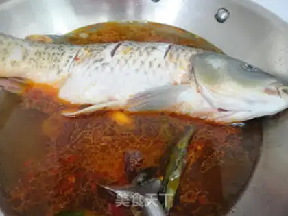 Make Carp step 4
