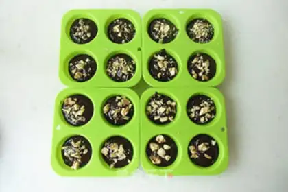 Make Mini Brownie step 6