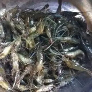 Make Soyseed shrimp step 0