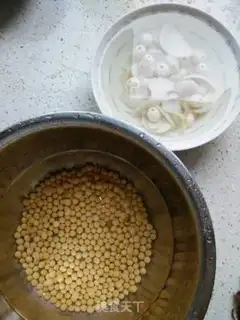 Make Lily