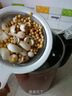 Make Lily