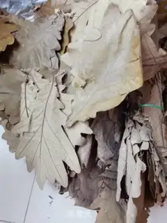Make Pineapple leaves step 0
