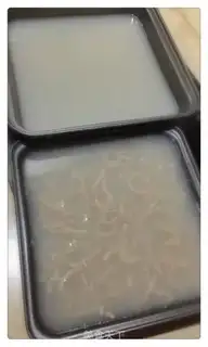 Make Frozen step 5