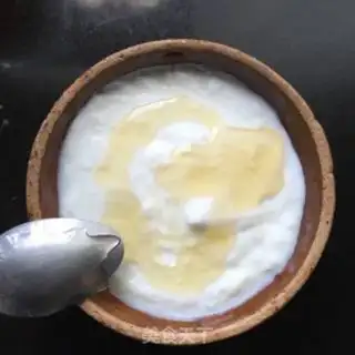 Make The yogurt plant step 3