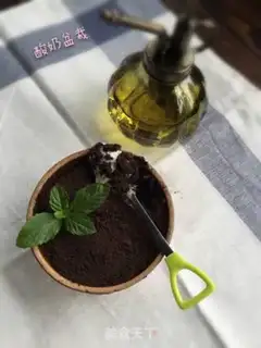 Make The yogurt plant step 7