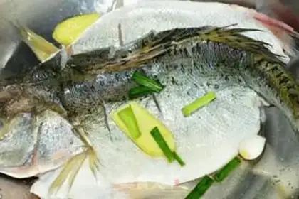 Make Vacuate herring step 2