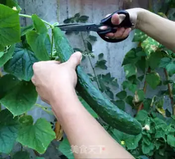 Make Seafood cucumber step 0