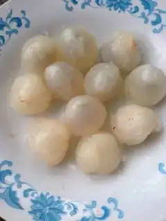 Make Shrimp step 0