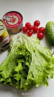 Make Tuna salad step 0