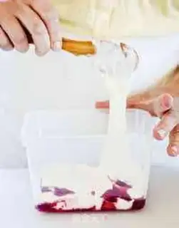 Make The basic method of making ice cream step 5