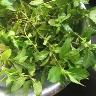 Make Lemon mint ice step 1