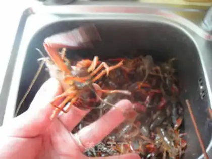 Make Spicy lobster step 1