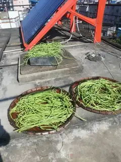 Make Bean pickles step 0