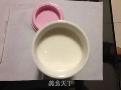 Make The yogurt plant step 2