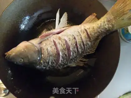 Make Carp step 1