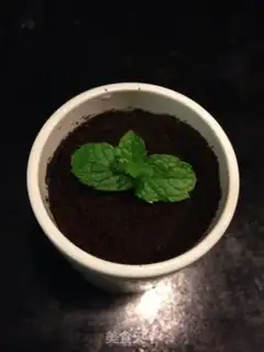 Make The yogurt plant step 6