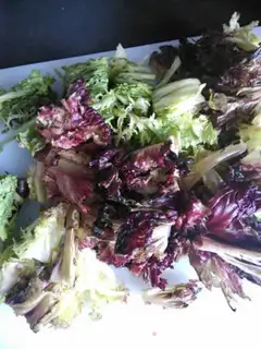 Make Summer salad step 1