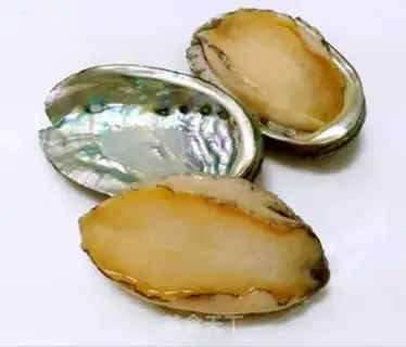 Make Vacuate the abalone step 0