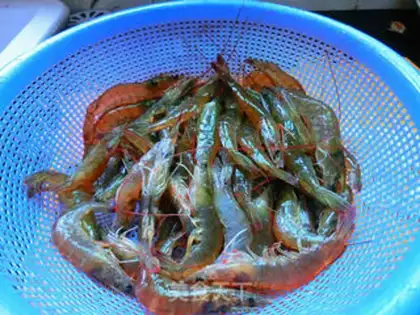 Make Shrimp step 0