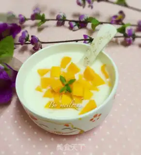 Make Homemade yogurt step 9