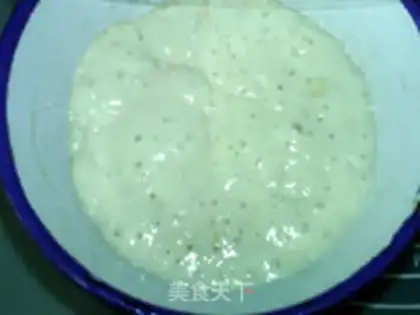 Make Polish yeast, Focasha step 3