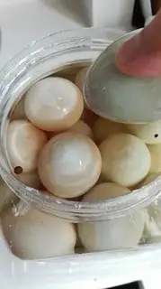 Make Homemade duck eggs step 7