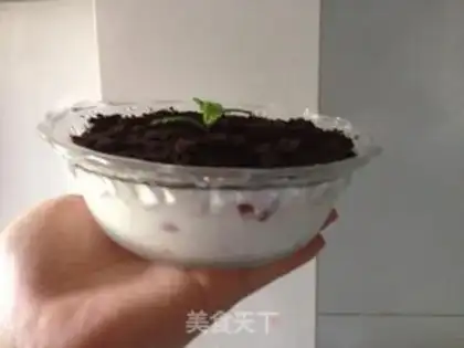 Make Fruit yogurt step 12