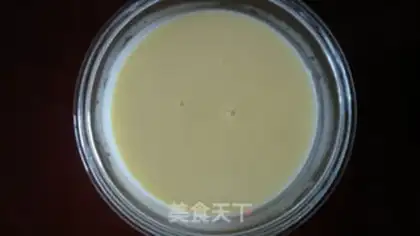 Make Yogurt ice cream step 8