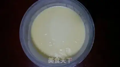 Make Yogurt ice cream step 9