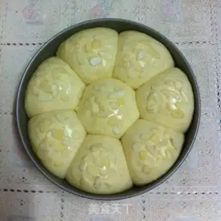 Make Yogurt bread step 4
