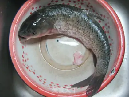 Make Beer and grassfish step 0