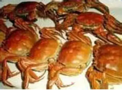 Make Crabs step 2