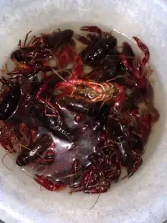 Make Beer sauce, lobster step 0